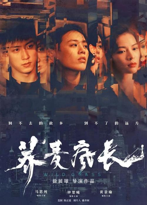美国护照电子版怎么买高仿
